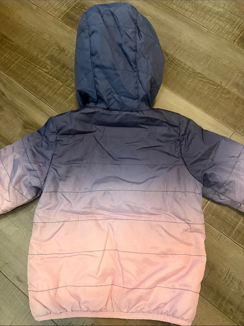 OshKosh B'gosh Navy Jacket with Pink Lining